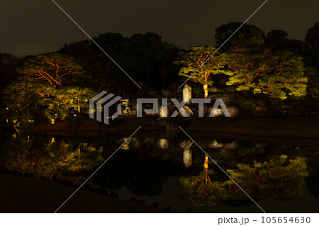 東京駒込の秋　六義園　紅葉ライトアップ 105654630