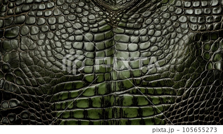 A crocodile skin texture background 105655273