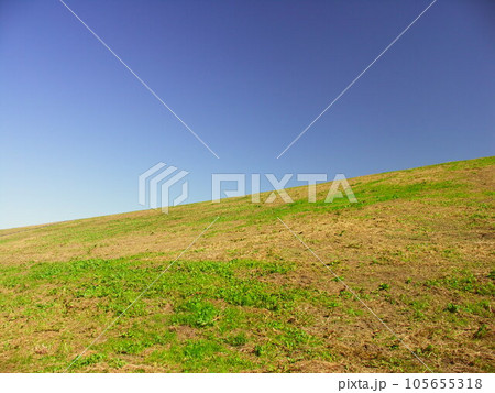 秋の除草された江戸川土手風景 秋の除草された江戸川土手風景 105655318