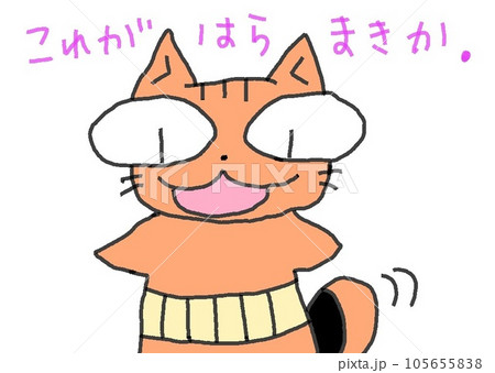 目が大きい猫のはらまき 105655838