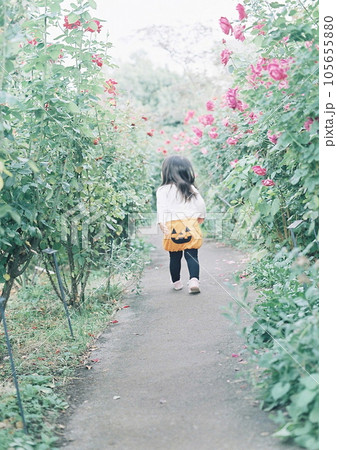 ハロウィンコスチュームを着てお出かけする子供 ハロウィンコスチュームを着てお出かけする子供 105655880