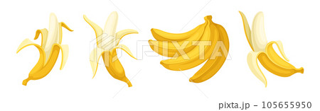 Banana as Elongated, Edible Fruit Covered with Yellow Rind Vector Set 105655950