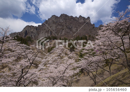 さくらの里 105656460