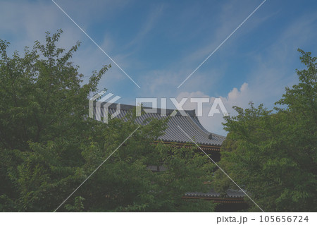 夏の瓦屋根 夏の瓦屋根 105656724