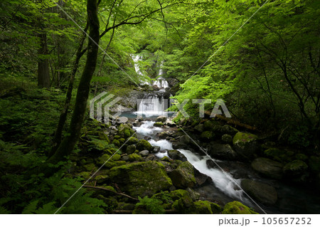 こもれびの滝（長野県木曽郡木曽町） 105657252