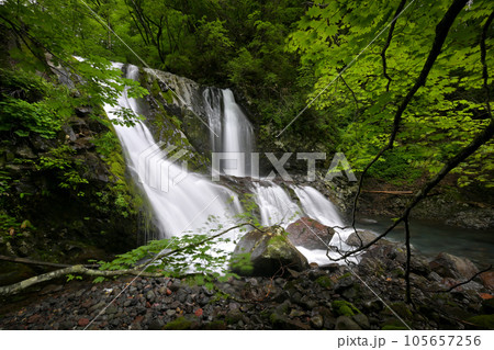 こもれびの滝（長野県木曽郡木曽町） 105657256