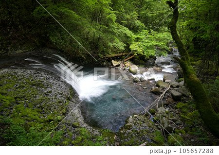 こもれびの滝の前衛滝と白川の流れ（長野県木曽郡木曽町） 105657288
