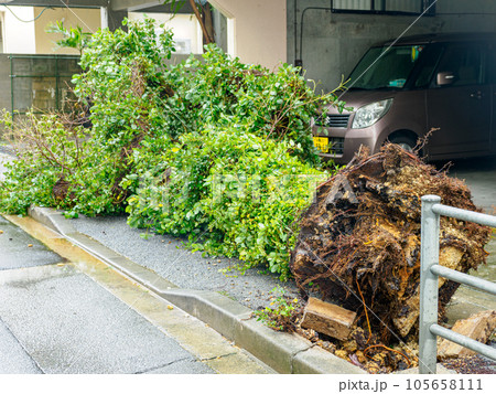 台風の爪痕 105658111