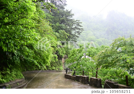霧に包まれる黒部峡谷の登山道 105658251