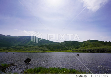 新緑のウラジオナナカマドと雪解け水をたたえる沼 105658265