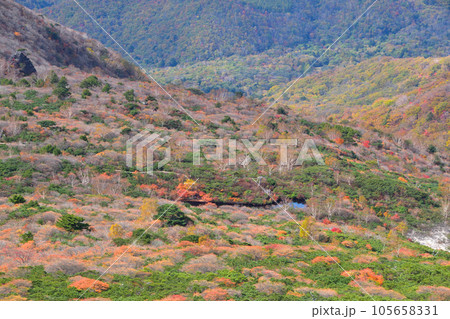 秋 那須岳 姥ヶ平 秋 那須岳 姥ヶ平 105658331