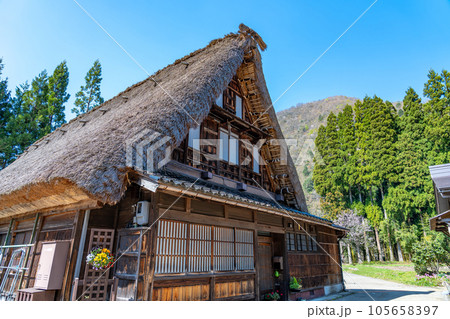富山県五箇山 桜咲く春の菅沼合掌造り集落 富山県五箇山 桜咲く春の菅沼合掌造り集落 105658397