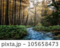渓谷の朝日 105658473