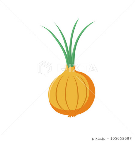 Funny cartoon onion. Cute vegetable. Vector food illustration isolated on white background Funny cartoon onion. Cute vegetable. Vector food illustration isolated on white background 105658697