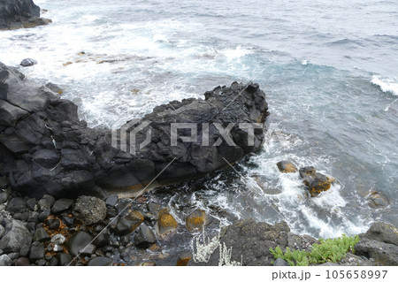 寝熊の岩　利尻島　北海道 105658997