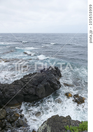 寝熊の岩　利尻島　北海道 105658999