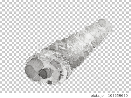 以水墨畫風格繪製的單個煮竹筍的插圖白色背景透明背景 以水墨畫風格繪製的單個煮竹筍的插圖白色背景透明背景 105659650
