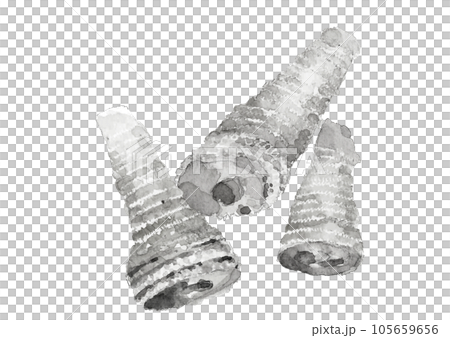 水墨画風に描いた茹で筍3本のモノトーンのイラスト 白バック 透過背景 105659656