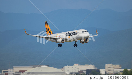 タイガーエア台湾エアバスA320-200着陸進入 105660098