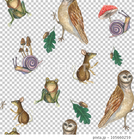 Watercolor illustration of an owl, snails, poisonous mushrooms, a rat and a frog on a transparent background. Seamless pattern for design hand drawn 105660259
