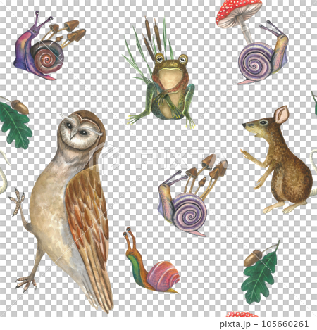 Watercolor illustration of an owl, snails, poisonous mushrooms, cattail, rat and frog on a transparent background. Seamless pattern for design hand drawn Watercolor illustration of an owl, snails, poisonous mushrooms, cattail, rat and frog on a transparent background. Seamless pattern for design hand drawn 105660261