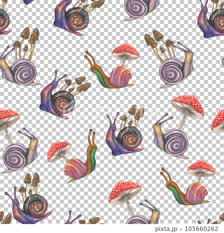 Watercolor illustration of snails, grebes and fly agarics on a transparent background. Seamless pattern for design hand drawn Watercolor illustration of snails, grebes and fly agarics on a transparent background. Seamless pattern for design hand drawn 105660262