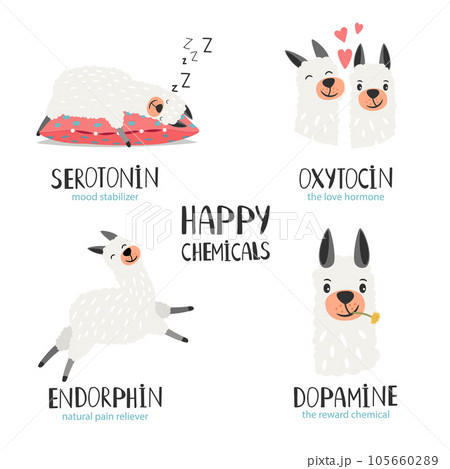Serotonin, endorphin, dopamine, oxytocin. Hormone health icon. Hormones colorful vector illustration with alpaca Serotonin, endorphin, dopamine, oxytocin. Hormone health icon. Hormones colorful vector illustration with alpaca 105660289
