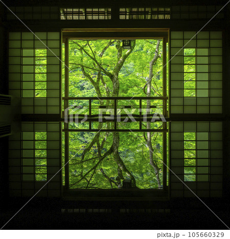 嵐山祐斎亭　美しいリフレクション　新緑の季節 105660329