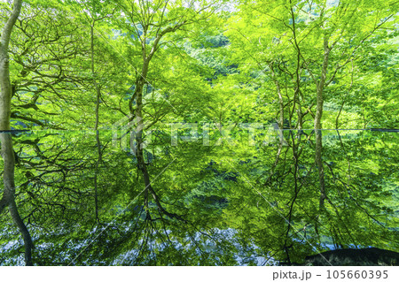 嵐山祐斎亭 水鏡 新緑の季節 嵐山祐斎亭 水鏡 新緑の季節 105660395