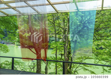 嵐山祐斎亭　絶景テラスから桂川（大堰川）の眺め　新緑の季節 105660399