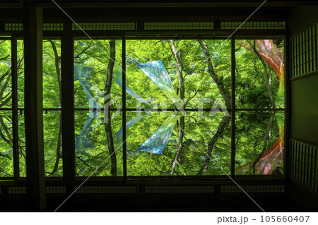 嵐山祐斎亭　川端康成の部屋　新緑の季節 105660407