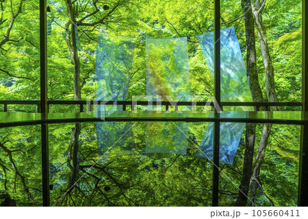 嵐山祐斎亭 川端康成の部屋 新緑の季節 嵐山祐斎亭 川端康成の部屋 新緑の季節 105660411