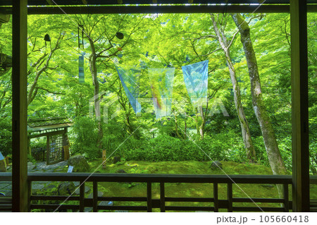 嵐山祐斎亭 川端康成の部屋 新緑の季節 嵐山祐斎亭 川端康成の部屋 新緑の季節 105660418