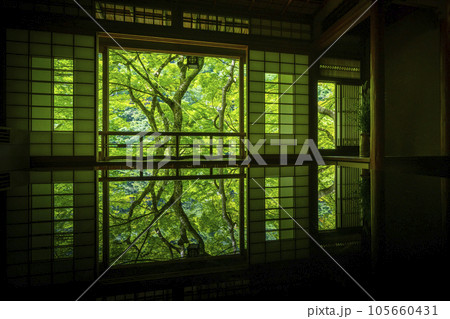 嵐山祐斎亭 茶室 美しいリフレクション 新緑の季節 嵐山祐斎亭 茶室 美しいリフレクション 新緑の季節 105660431