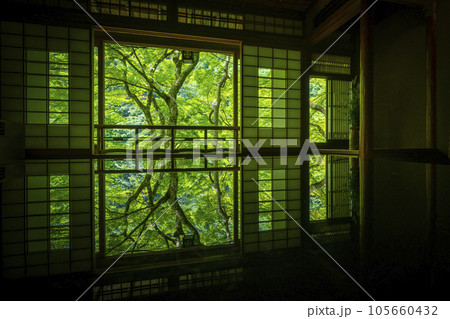 嵐山祐斎亭　茶室　美しいリフレクション　新緑の季節 105660432