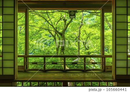 嵐山祐斎亭　茶室から見える絶景　新緑の季節 105660441