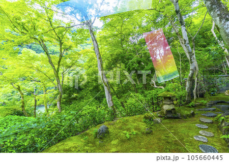 嵐山祐斎亭 美しい庭園 新緑の季節 嵐山祐斎亭 美しい庭園 新緑の季節 105660445