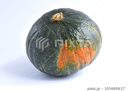 栗カボチャ 栗カボチャ 105660617
