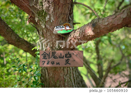 剣尾山の山頂 剣尾山の山頂 105660910