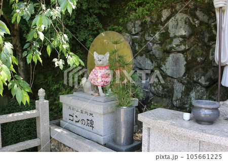 和歌山 慈尊院 和歌山 慈尊院 105661225