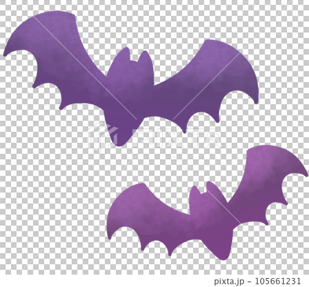 two purple bats 105661231