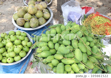 multiple fruit with Limonia Acidissima guava raw mango otaheite gooseberry multiple fruit with Limonia Acidissima guava raw mango otaheite gooseberry 105661522