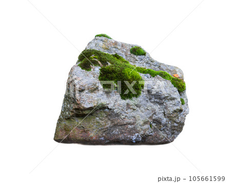 stone covered with moss isolated on white background stone covered with moss isolated on white background 105661599