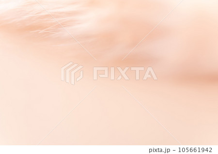 ふさふさ・暖かい 背景素材 ふさふさ・暖かい 背景素材 105661942