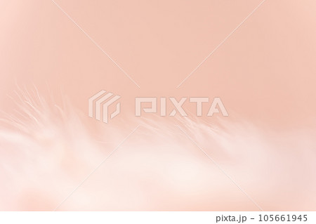 ふさふさ・暖かい 背景素材 105661945
