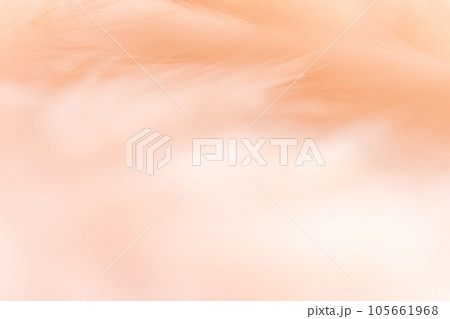 ふさふさ・暖かい 背景素材 ふさふさ・暖かい 背景素材 105661968