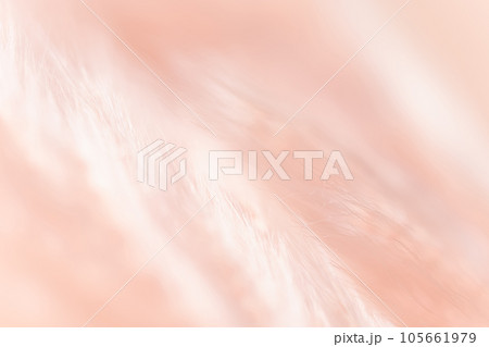 ふさふさ・暖かい 背景素材 ふさふさ・暖かい 背景素材 105661979