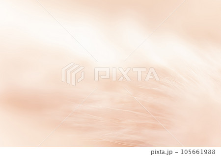 ふさふさ・暖かい 背景素材 ふさふさ・暖かい 背景素材 105661988