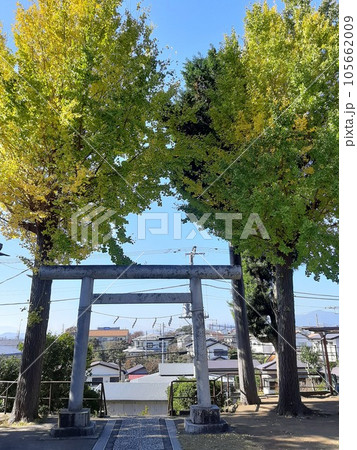 鳥居　神社の鳥居　神聖な場所　パワースポット 105662009
