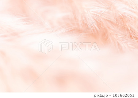 ふさふさ・暖かい 背景素材 105662053